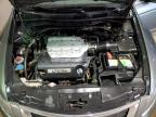 2008 Honda Accord Exl იყიდება Woodhaven-ში, MI - Normal Wear