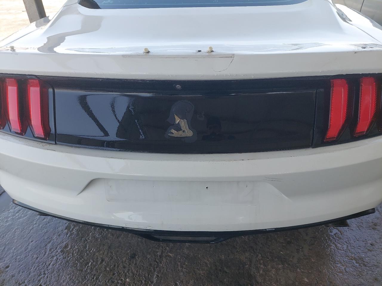 1FA6P8TH8H5295245 - 2017 Ford MUSTANG - #undefined