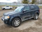 2009 Ford Escape Limited за продажба в Davison, MI - Side
