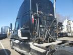 Woodhaven, MI에서 판매 중인 2009 Freightliner Cascadia 125 Semi Truck - Side