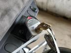 1999 Harley-Davidson Flht    zu verkaufen in Phoenix, AZ - Normal Wear