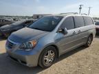 2009 HONDA ODYSSEY EXL à vendre chez Copart TX - SAN ANTONIO