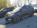 2017 Hyundai Santa Fe Sport  for Sale in Arlington, WA - Rear End