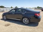 2010 Lexus Es 350 for Sale in San Martin, CA - Rear End