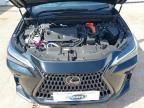 2024 LEXUS NX 450H + for sale at Copart SANDY