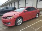 2014 Toyota Camry L продається в Louisville, KY - Front End