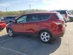 2015 Ford Escape Se zu verkaufen in Louisville, KY - Rear End