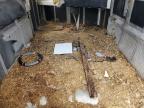 1998 W-W Livestock Trailer for Sale in Apopka, FL - Front End