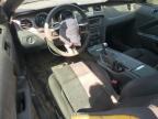 2013 Ford Mustang Gt for Sale in Tanner, AL - Front End
