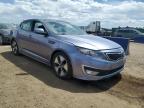 2011 Kia Optima Hybrid for Sale in Brighton, CO - Rear End
