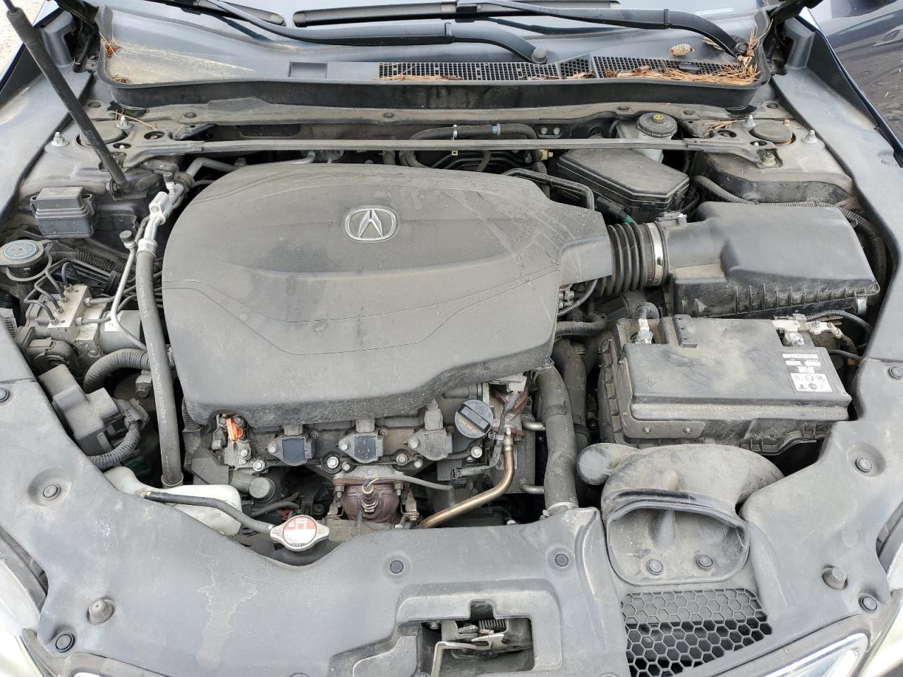 2015 Acura Tlx Tech VIN: 19UUB2F55FA002292 Lot: 51831585