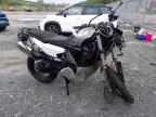 2023 HUSQVARNA 901 NORDEN for sale at Copart BELFAST