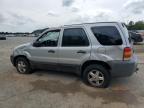 2007 Ford Escape Xls იყიდება Shreveport-ში, LA - Rollover