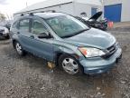 2010 Honda Cr-V Lx   на продаже в Hillsborough, NJ - Front End