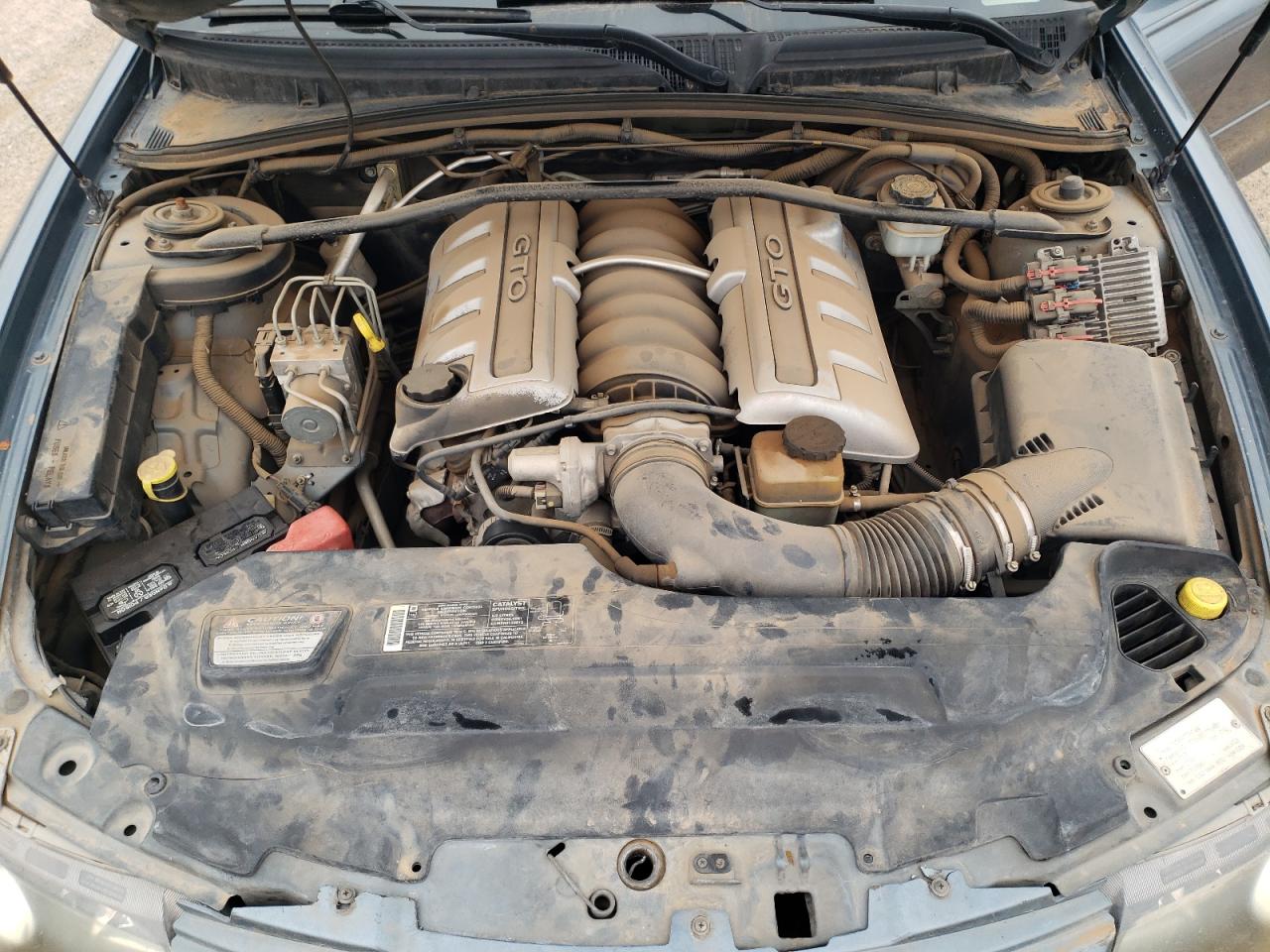 2006 Pontiac Gto VIN: 6G2VX12U06L550451 Lot: 54823105