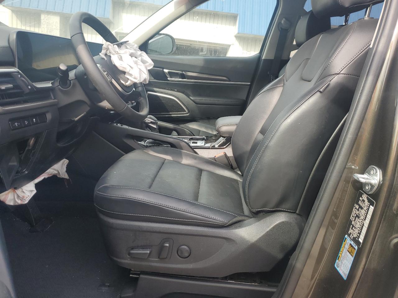 2024 Kia Telluride S VIN: 5XYP6DGC6RG487698 Lot: 53081355