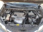 2013 Toyota Rav4 Le de vânzare în Albuquerque, NM - Rear End