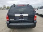 2012 Ford Escape Limited for Sale in Bridgeton, MO - Front End