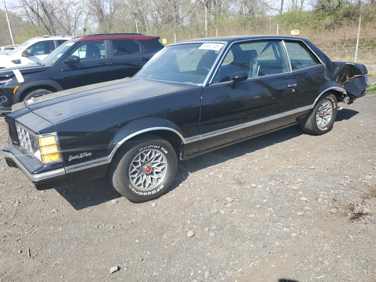 1978 Pontiac Grand Lema for Sale in Marlboro, NY - Side