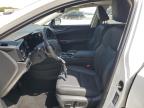 2024 Lexus Nx 350 Premium de vânzare în Opa Locka, FL - Water/Flood