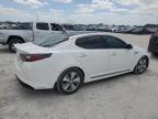 2014 Kia Optima Hybrid للبيع في Homestead، FL - Minor Dent/Scratches