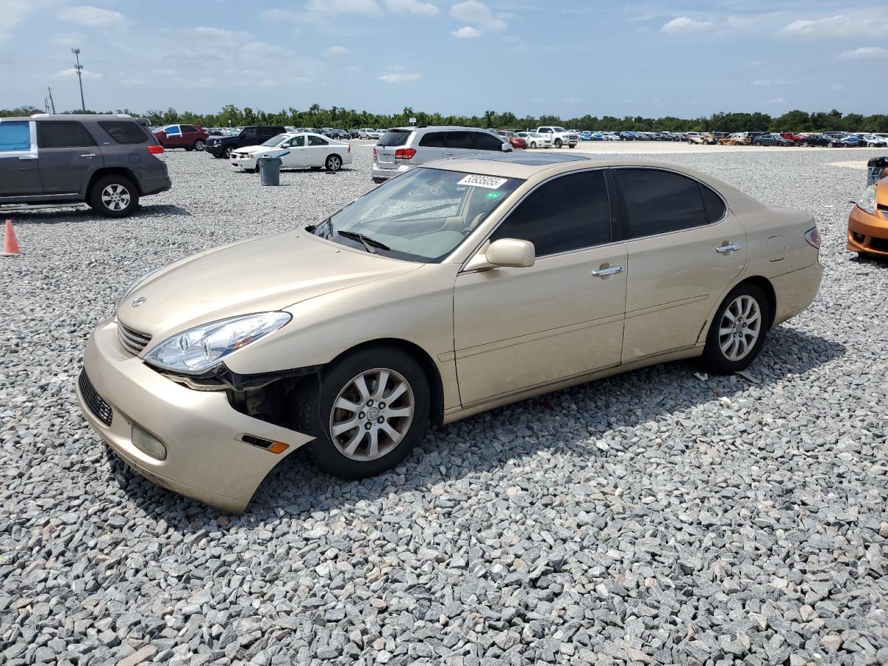 Arcadia, FL에서 판매 중인 2003 Lexus Es 300 - Side