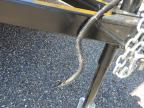 2025 Nation Craft Enclosed Cargo Trailer for Sale in Newton, AL - Minor Dent/Scratches