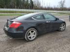 2009 Honda Accord Exl   for Sale in Leroy, NY - Front End
