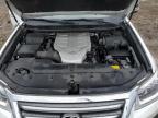 2019 Lexus Gx 460 for Sale in Elgin, IL - All Over