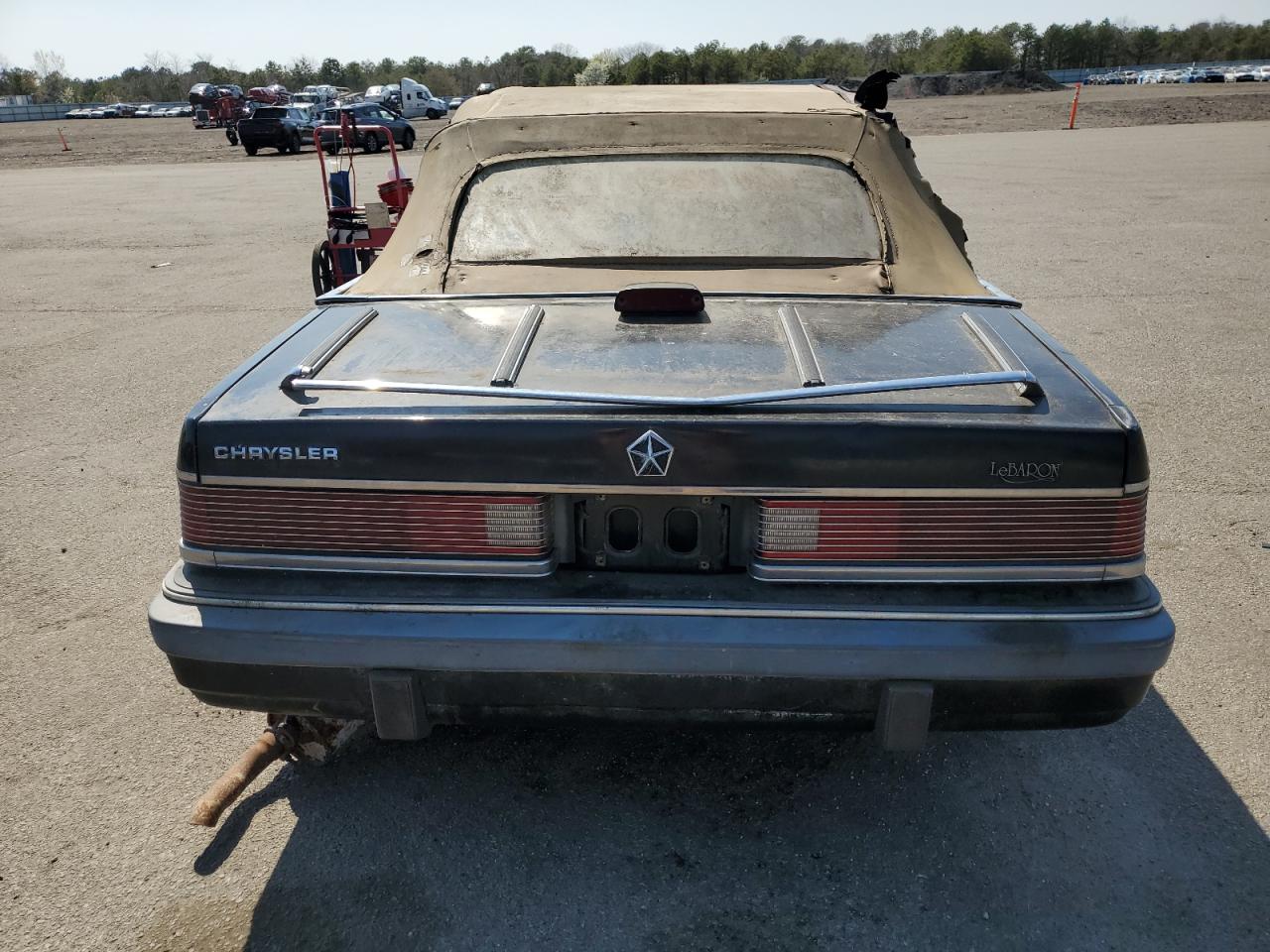 1986 Chrysler Lebaron VIN: 1C3BC55E6GG215373 Lot: 54530915