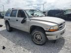 1998 Dodge Durango  for Sale in Lawrenceburg, KY - All Over