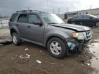 2009 Ford Escape Xlt for Sale in Chicago Heights, IL - Front End
