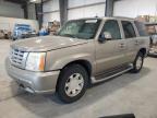 2002 Cadillac Escalade Luxury for Sale in Greenwood, NE - Rear End