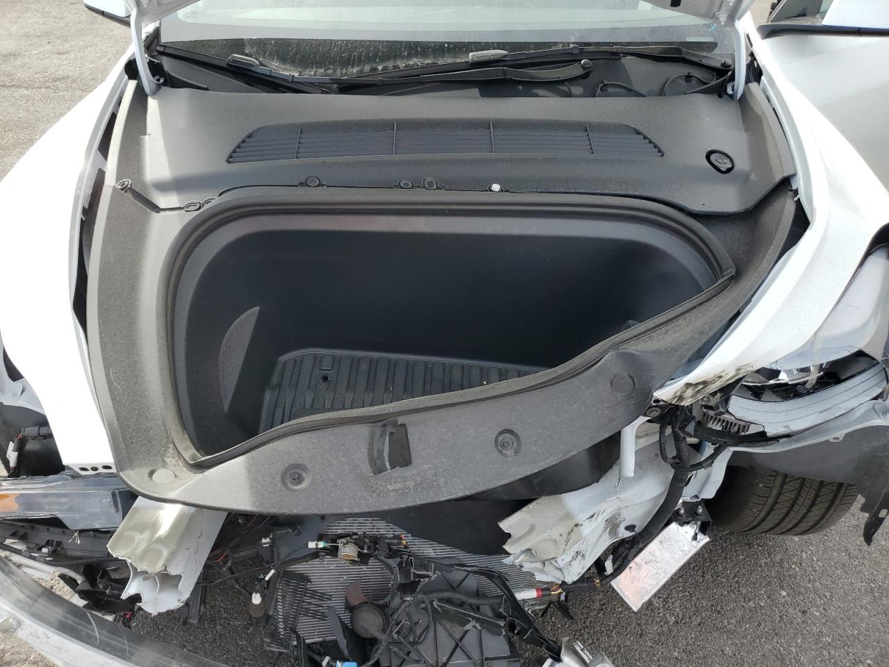 2025 Tesla Model Y VIN: 7SAYGDED1SF216870 Lot: 51158525