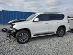 2020 Lexus Gx 460 Luxury na sprzedaż w Arcadia, FL - Front End