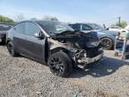 2024 Tesla Model Y  на продаже в Hillsborough, NJ - Burn