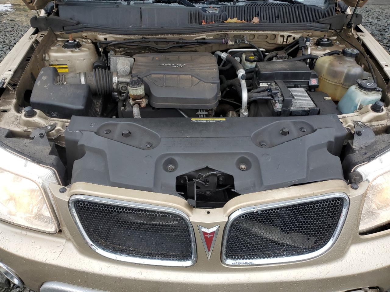 2006 Pontiac Torrent VIN: 2CKDL73F266054393 Lot: 52160845