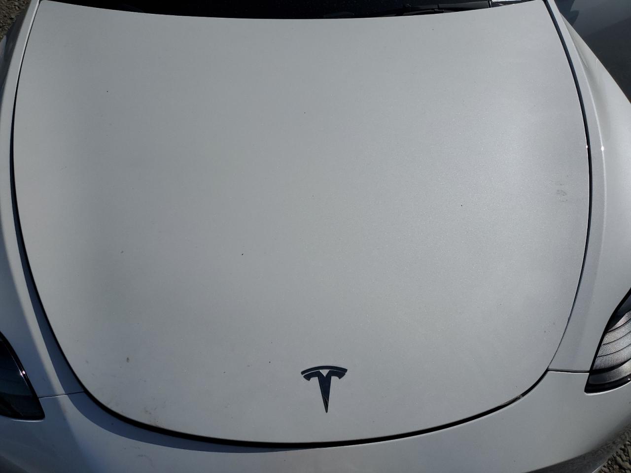 2024 Tesla Model Y VIN: 7SAYGDED8RF105176 Lot: 54306155