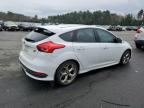 2016 Ford Focus St for Sale in Exeter, RI - Front End