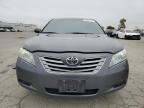Martinez, CA에서 판매 중인 2009 Toyota Camry Hybrid - Rear End