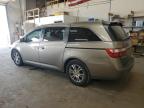 2011 Honda Odyssey Exl zu verkaufen in Ham Lake, MN - Hail