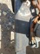 2006 Gulf Stream Conquest for Sale in Sikeston, MO - Hail