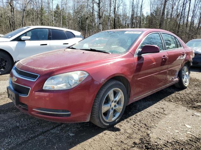 2010 CHEVROLET MALIBU 2LT à vendre chez Copart ON - COOKSTOWN