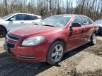 2010 CHEVROLET MALIBU 2LT à vendre chez Copart ON - COOKSTOWN