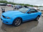 2010 Ford Mustang  for Sale in Louisville, KY - Front End