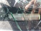 2009 Nissan Xterra Off Road للبيع في Las Vegas، NV - Rollover
