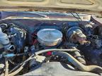1977 Chevrolet Suburban zu verkaufen in Anthony, TX - All Over
