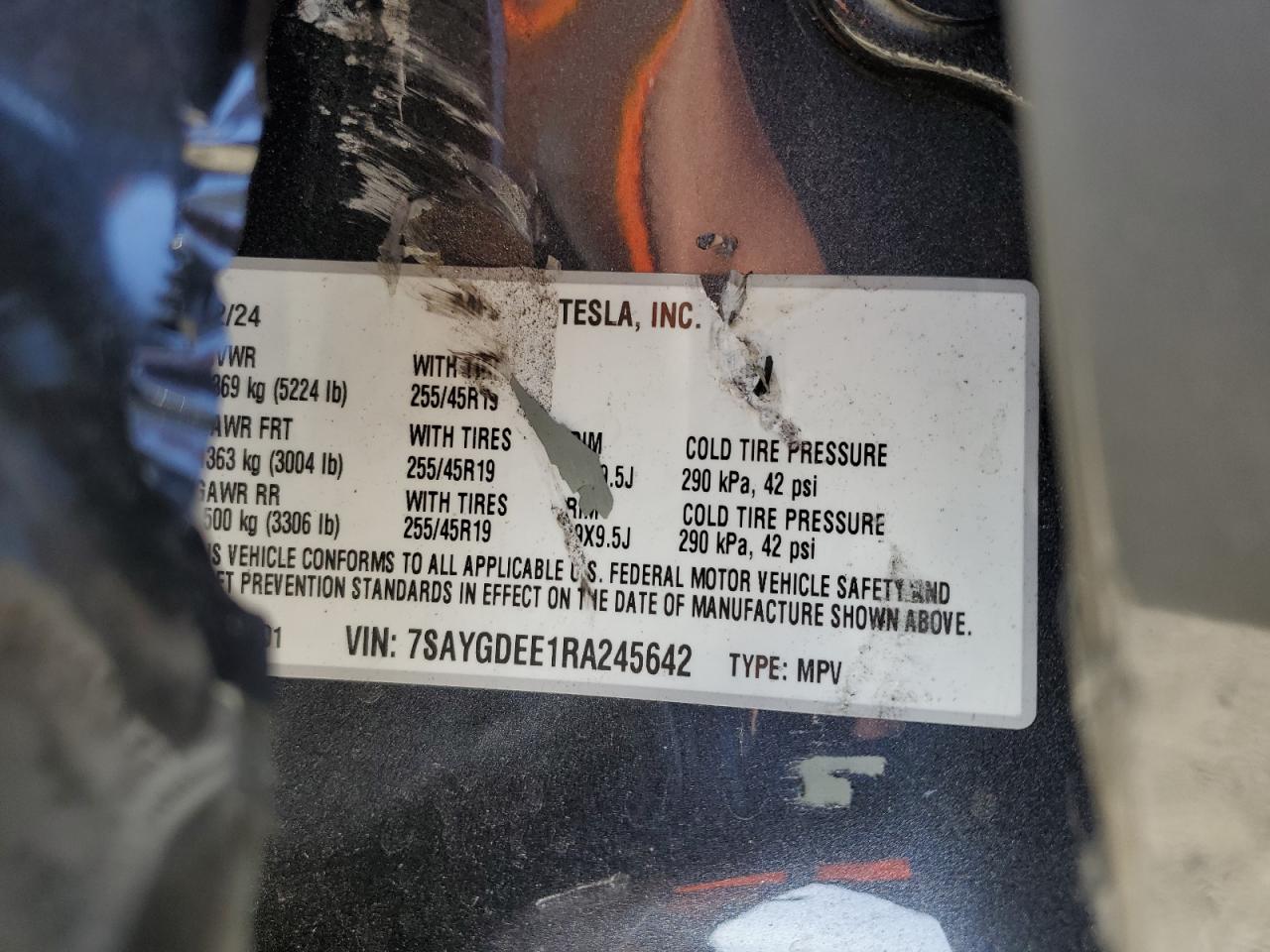 2024 Tesla Model Y VIN: 7SAYGDEE1RA245642 Lot: 55490385