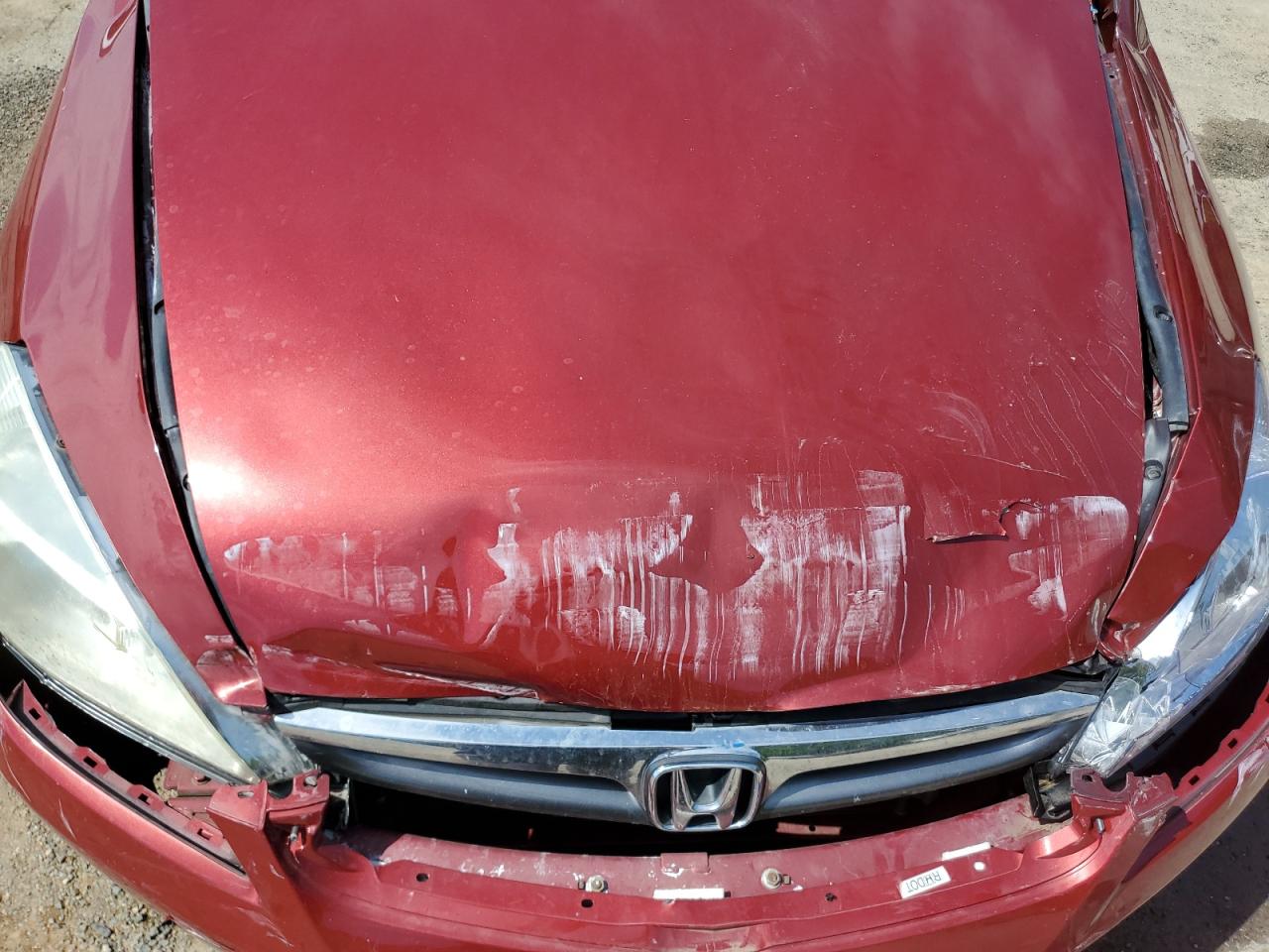 2007 Honda Accord Se VIN: 1HGCM56337A129114 Lot: 51784345