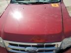 2011 Ford Escape Xlt   للبيع في Fort Wayne، IN - All Over